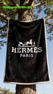 Hermès Classic Horse Carriage Flannel Fleece Throw Blanket IMG_4990